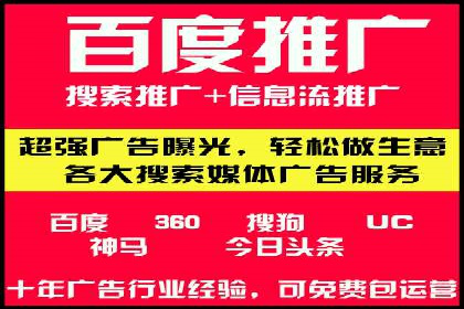 百度竞价广告投放全解析：成功案例揭秘